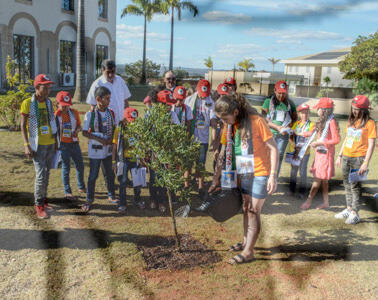 Original Objeto digital not accessible