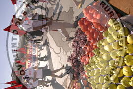 [Título n/d] : lote nº 002, pasta nº 000044, doc. nº 000381 [imagem] / Fotógrafo(a) : [autoria n/d].