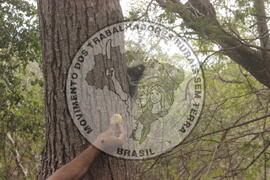 [Título n/d] : lote nº 002, pasta nº 000008, doc. nº 000031 [imagem] / Fotógrafo(a) : [autoria n/d].