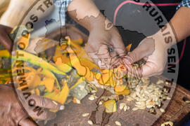 [Título n/d] : lote nº 002, pasta nº 000081, doc. nº 000016 [imagem] / Fotógrafo(a) : [autoria n/d].