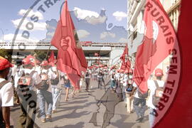 [Título n/d] : lote nº 002, pasta nº 000044, doc. nº 000313 [imagem] / Fotógrafo(a) : [autoria n/d].