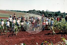 Assentamento "Fazenda Annoni" do MST (Júlio de Castilho-RS, Sarandi-RS, 1987 a 1993) [fotografia] / Fotógrafo(a) : Antonio C. Argemi ; Arquivo MST. -- Ref.: BR-SPMST_MST-SN-CIN_AMP_000175-001254-ASS.