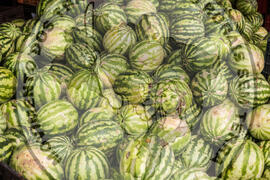 [Título n/d] : lote nº 002, pasta nº 000081, doc. nº 000015 [imagem] / Fotógrafo(a) : [autoria n/d].