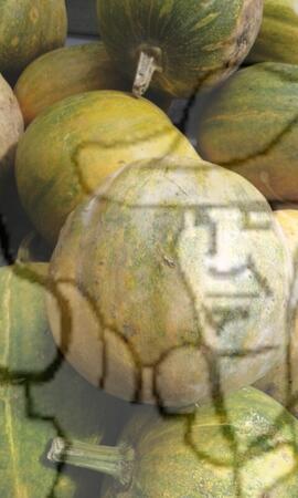 [Título n/d] : lote nº 002, pasta nº 000089, doc. nº 000004 [imagem] / Fotógrafo(a) : [autoria n/d].