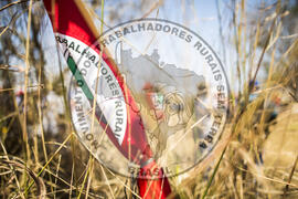 [Título n/d] : lote nº 002, pasta nº 000115, doc. nº 000051 [imagem] / Fotógrafo(a) : [autoria n/d].