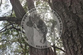 [Título n/d] : lote nº 002, pasta nº 000008, doc. nº 000025 [imagem] / Fotógrafo(a) : [autoria n/d].