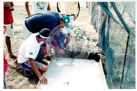 Original Objeto digital not accessible