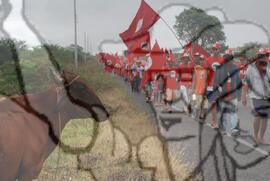 [Título n/d] : lote nº 002, pasta nº 000074, doc. nº 000341 [imagem] / Fotógrafo(a) : [autoria n/d].