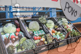 [Título n/d] : lote nº 002, pasta nº 000122, doc. nº 000085 [imagem] / Fotógrafo(a) : [autoria n/d].