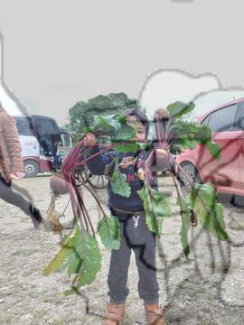 [Título n/d] : lote nº 002, pasta nº 000025, doc. nº 000014 [imagem] / Fotógrafo(a) : [autoria n/d].