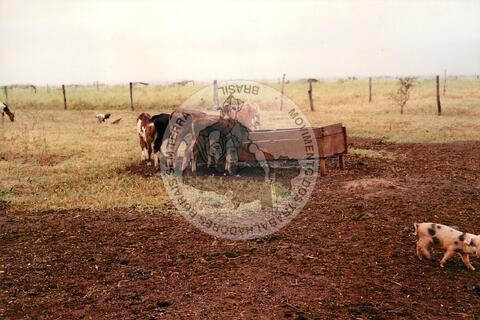 Original Digitaal object not accessible