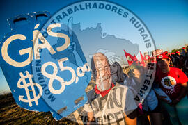 [Título n/d] : lote nº 002, pasta nº 000114, doc. nº 000008 [imagem] / Fotógrafo(a) : [autoria n/d].