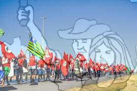 [Título n/d] : lote nº 002, pasta nº 000111, doc. nº 000009 [imagem] / Fotógrafo(a) : [autoria n/d].