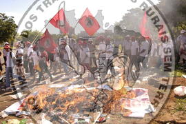 [Título n/d] : lote nº 002, pasta nº 000044, doc. nº 000496 [imagem] / Fotógrafo(a) : [autoria n/d].