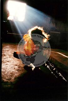 Original Document numérique not accessible