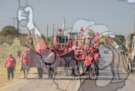 [Título n/d] : lote nº 002, pasta nº 000122, doc. nº 000017 [imagem] / Fotógrafo(a) : [autoria n/d].