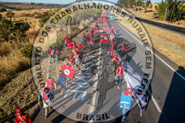 [Título n/d] : lote nº 002, pasta nº 000113, doc. nº 000030 [imagem] / Fotógrafo(a) : [autoria n/d].