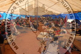 [Título n/d] : lote nº 002, pasta nº 000044, doc. nº 000614 [imagem] / Fotógrafo(a) : [autoria n/d].