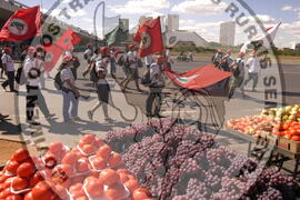 [Título n/d] : lote nº 002, pasta nº 000044, doc. nº 000371 [imagem] / Fotógrafo(a) : [autoria n/d].