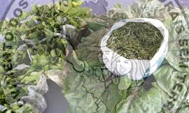 [Título n/d] : lote nº 002, pasta nº 000089, doc. nº 000039 [imagem] / Fotógrafo(a) : [autoria n/d].