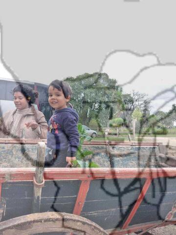 Original Objeto digital not accessible