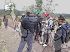 [Título n/d] : lote nº 002, pasta nº 000033, doc. nº 000060 [imagem] / Fotógrafo(a) : [autoria n/d].