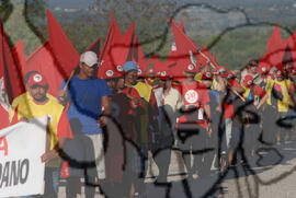 [Título n/d] : lote nº 002, pasta nº 000074, doc. nº 000463 [imagem] / Fotógrafo(a) : [autoria n/d].