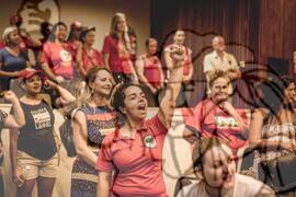 [Título n/d] : lote nº 002, pasta nº 000100, doc. nº 000008 [imagem] / Fotógrafo(a) : [autoria n/d].