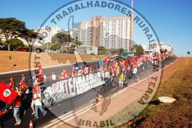 [Título n/d] : lote nº 002, pasta nº 000070, doc. nº 000045 [imagem] / Fotógrafo(a) : [autoria n/d].