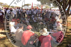 [Título n/d] : lote nº 002, pasta nº 000044, doc. nº 000596 [imagem] / Fotógrafo(a) : [autoria n/d].