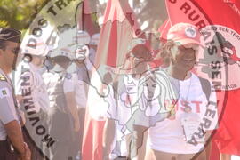 [Título n/d] : lote nº 002, pasta nº 000044, doc. nº 000457 [imagem] / Fotógrafo(a) : [autoria n/d].