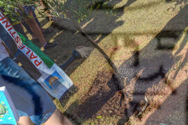 [Título n/d] : lote nº 002, pasta nº 000097, doc. nº 000049 [imagem] / Fotógrafo(a) : [autoria n/d].