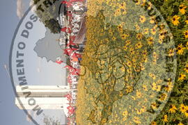 [Título n/d] : lote nº 002, pasta nº 000044, doc. nº 000052 [imagem] / Fotógrafo(a) : [autoria n/d].