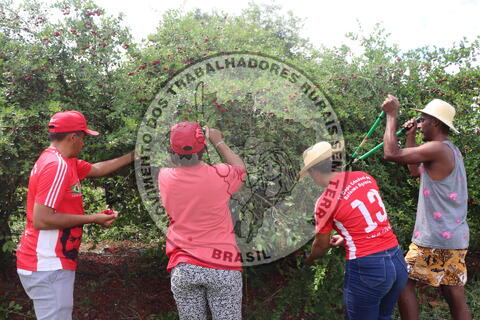 Original Objeto digital not accessible