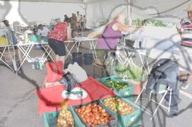 [Título n/d] : lote nº 002, pasta nº 000077, doc. nº 000022 [imagem] / Fotógrafo(a) : [autoria n/d].