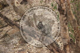 [Título n/d] : lote nº 002, pasta nº 000008, doc. nº 000035 [imagem] / Fotógrafo(a) : [autoria n/d].