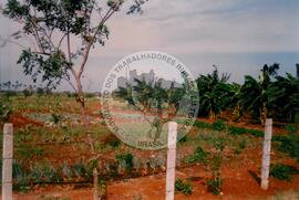 Curso de Agricultura Sustentável (Cuba, 1997) [fotografia] / Fotógrafo(a) : Arquivo MST. -- Ref.: BR-SPMST_MST-SN-CIN_AMP_001040-008276-RIT.