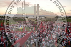 [Título n/d] : lote nº 002, pasta nº 000044, doc. nº 000137 [imagem] / Fotógrafo(a) : [autoria n/d].