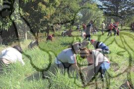 [Título n/d] : lote nº 002, pasta nº 000034, doc. nº 000008 [imagem] / Fotógrafo(a) : [autoria n/d].