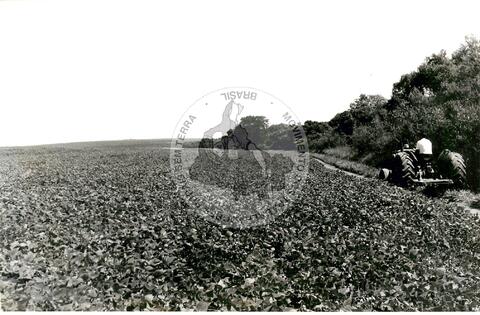 Original Digitaal object not accessible