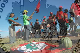 [Título n/d] : lote nº 002, pasta nº 000045, doc. nº 000056 [imagem] / Fotógrafo(a) : [autoria n/d].