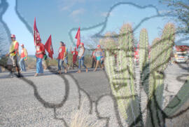 [Título n/d] : lote nº 002, pasta nº 000074, doc. nº 000245 [imagem] / Fotógrafo(a) : [autoria n/d].