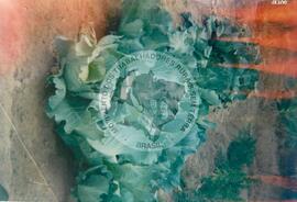 Hortas do acampamento Cajunorte (Piauí, 13 out. 1997) [fotografia] / Fotógrafo(a) : Fatima Silva. -- Ref.: BR-SPMST_MST-SN-CIN_AMP_002001-015241-PDU.