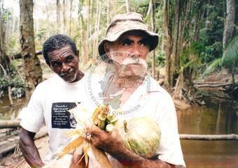 Original Objeto digital not accessible