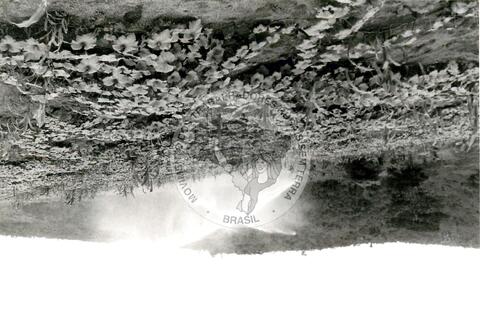 Original Document numérique not accessible