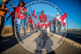 [Título n/d] : lote nº 002, pasta nº 000113, doc. nº 000023 [imagem] / Fotógrafo(a) : [autoria n/d].