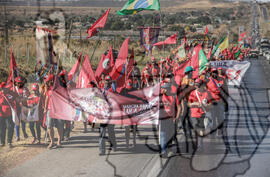 [Título n/d] : lote nº 002, pasta nº 000122, doc. nº 000016 [imagem] / Fotógrafo(a) : [autoria n/d].