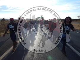 [Título n/d] : lote nº 002, pasta nº 000102, doc. nº 000043 [imagem] / Fotógrafo(a) : [autoria n/d].