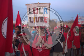 [Título n/d] : lote nº 002, pasta nº 000119, doc. nº 000043 [imagem] / Fotógrafo(a) : [autoria n/d].