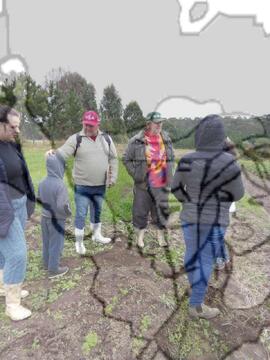 [Título n/d] : lote nº 002, pasta nº 000033, doc. nº 000074 [imagem] / Fotógrafo(a) : [autoria n/d].